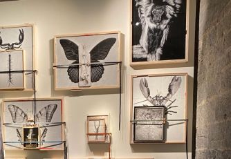 “Jacopo Benassi Libero!”, cento opere in mostra al Ducale per ripensare la fotografia