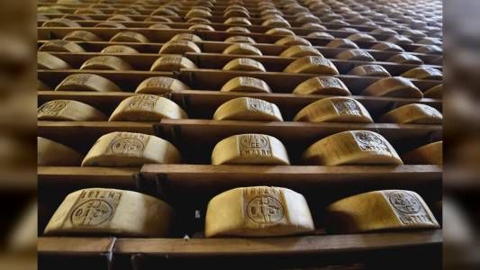 Energia pulita e meno sprechi: la rivoluzione sostenibile nei caseifici italiani