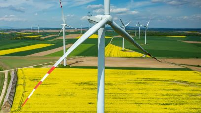 Transizione ecologica, per Bankitalia nessun vantaggio dall'abbandonare il percorso intrapreso