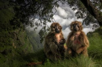 Da Camogli a Trani: la mostra fotografica di Marco Gaiotti “Un Mondo che scompare” sbarca in Puglia