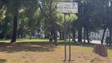 Genova, taglio alberi a Brignole, centrodestra all'attacco: “Dov’è finito l’ambientalismo della giunta?”