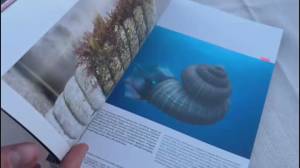 Waiting for Moby Dick: viaggio tra terre sommerse e immaginari abissali