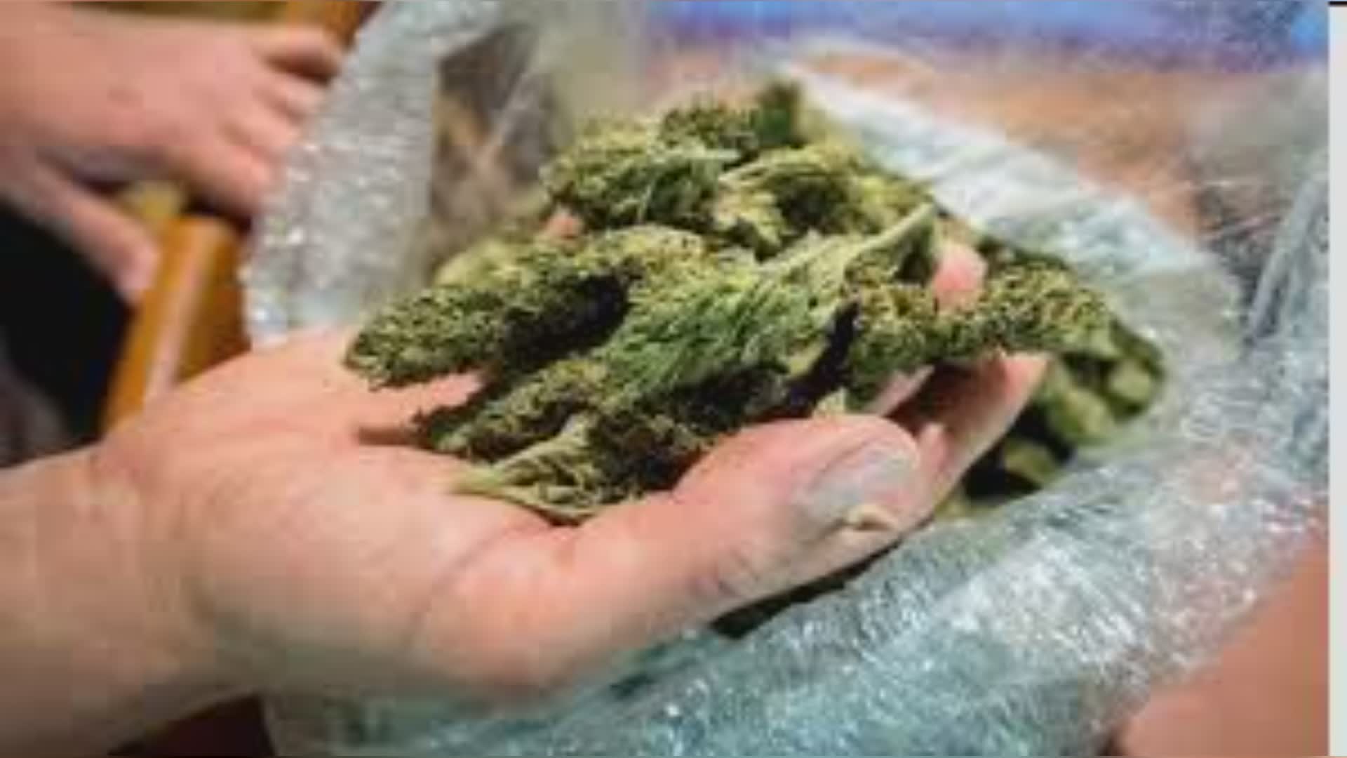 Imperiese arrestato in Kenya con l'accusa di coltivazione di stupefacenti