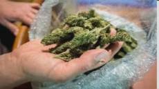 Imperiese arrestato in Kenya con l'accusa di coltivazione di stupefacenti