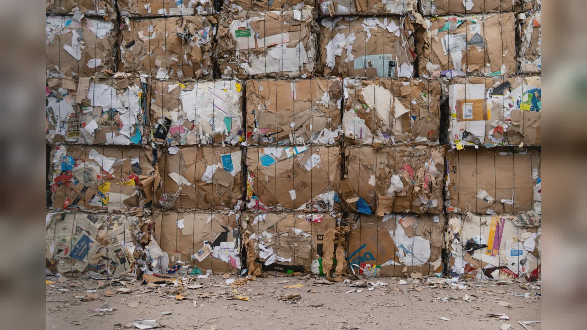 Genova, cresce la raccolta differenziata: il progetto “A tutta carta” premiato da Comieco