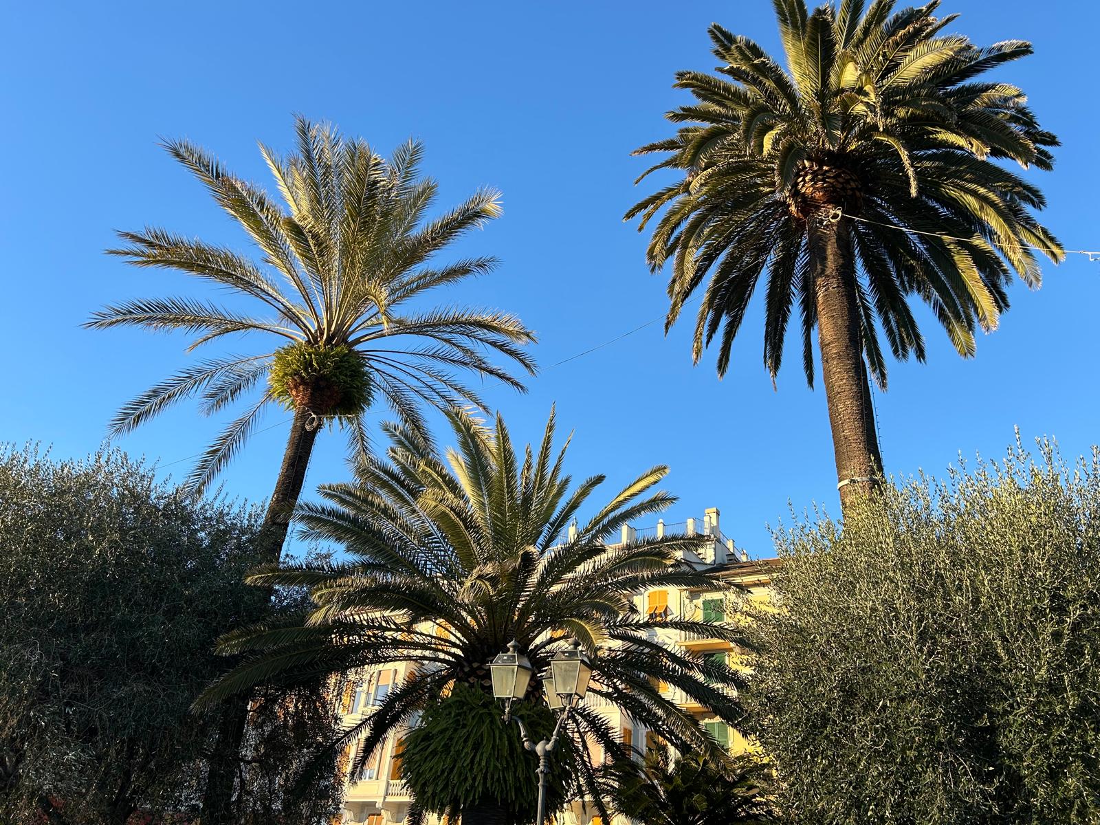 Sole e temperature in aumento, in Liguria tornano i 30 gradi