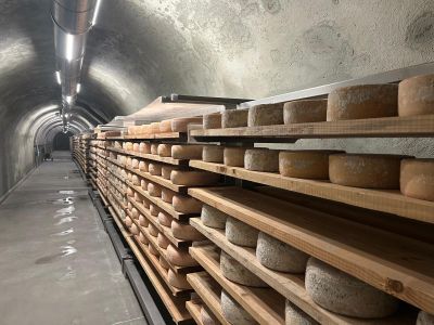 Cengio, l'ex bunker anti aereo diventa centro di stagionatura dei migliori formaggi 