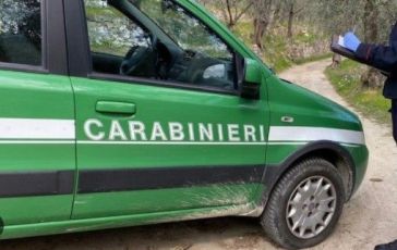 Reati ambientali in crescita: nel 2024 oltre 40mila in Italia, con una crescita del 14% rispetto all’anno precedente