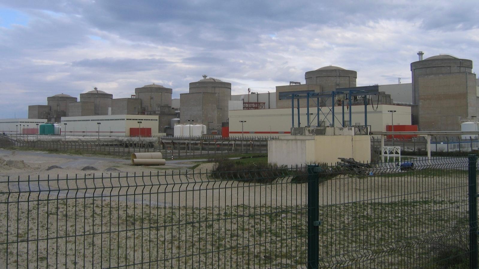 Francia, migliaia di meduse bloccano la centrale nucleare di Gravelines