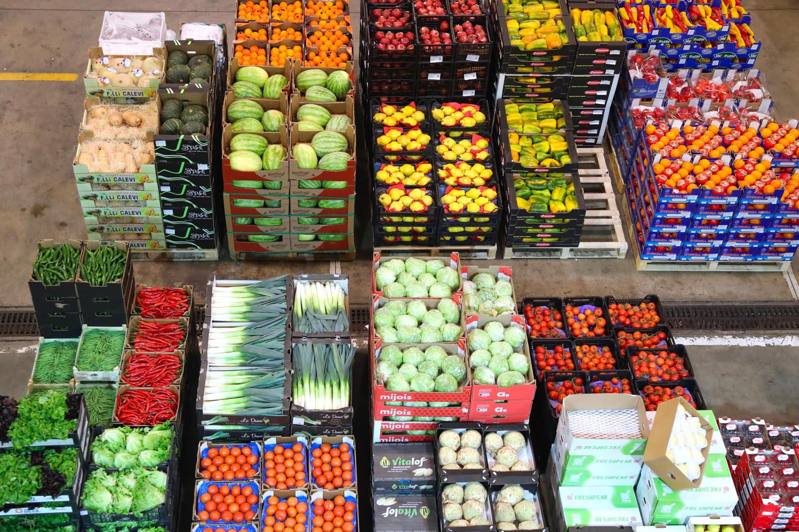 Gros inaugura hub logistico per i freschi a Guidonia: nuovo passo per sostenere la crescita