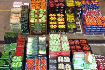 Gros inaugura hub logistico per i freschi a Guidonia: nuovo passo per sostenere la crescita