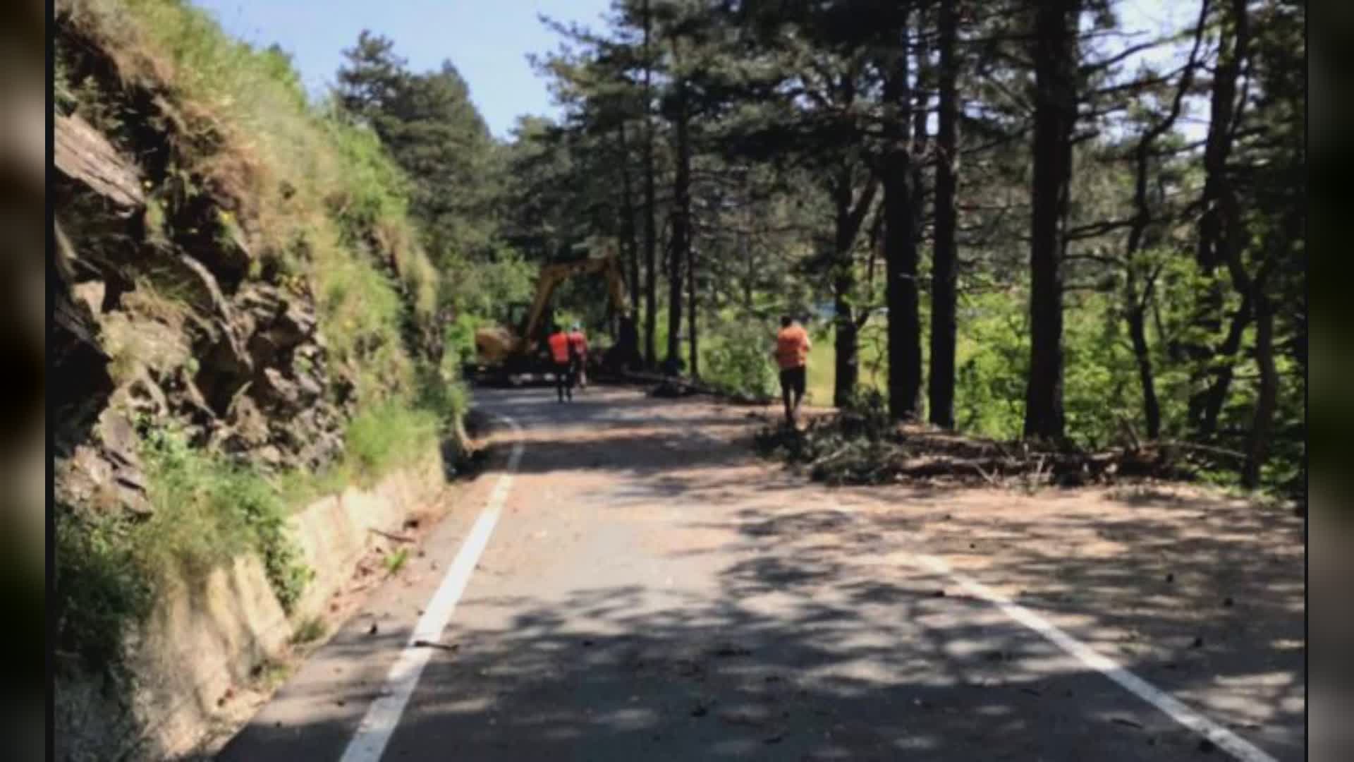 Incendio al passo del Bocco: fiamme domate, restano da tagliare alberi pericolanti prima di riaprire la strada