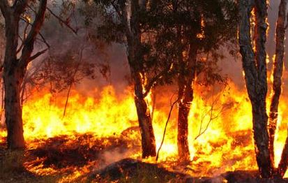 Incendio tra Liguria e Piemonte: tre intossicati portati in ospedale a Genova, uno è grave