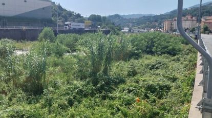 Genova, via ai lavori per la pulizia dei rivi e gli sfalci nei torrenti. Ma l'opposizione punta il dito: "La Giunta si dimentica del Medio Levante"