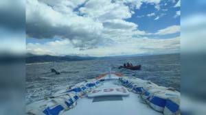 Ferito dall’elica al largo della Spezia: lo salva il compagno grazie a una cima