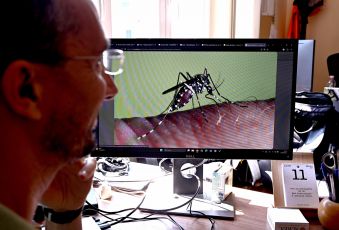 Zanzare e virus, Zappa (Asl 3): "Evitare le punture è la prima difesa. Clima più caldo allunga il rischio"