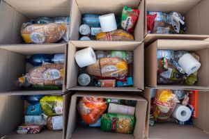 Genova sostiene Gaza con Music for Peace e Calp, aderiscono anche Gaslini e giornalisti liguri