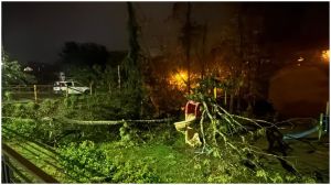 Raffiche oltre i 140 km/h, notte di paura in provincia della Spezia