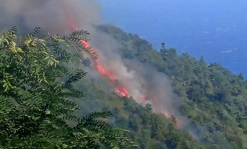 Incendio boschivo sulle alture di Sanremo, elicotteri gettano acqua sull'area di Borello