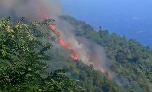 Incendio boschivo sulle alture di Sanremo, elicotteri gettano acqua sull'area di Borello