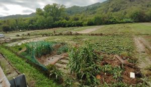 Danni da maltempo in Val Fontanabuona, Regione Liguria chiederà lo stato di emergenza