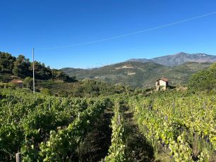 Il ritorno di Benvenuti in Liguria: conto alla rovescia per la prima puntata in onda mercoledì sera