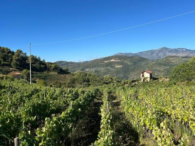Il ritorno di Benvenuti in Liguria: conto alla rovescia per la prima puntata in onda mercoledì sera
