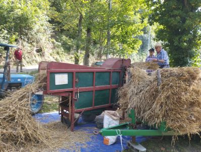 Mundantigu e Fiera del Bestiame, l'allevatore in vetrina: "Ma il nostro mestiere è finito"