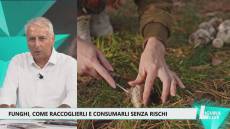 Funghi, il servizio gratuito di Asl 3 per consumarli in maniera sicura