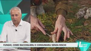 Funghi, il servizio gratuito di Asl 3 per consumarli in maniera sicura