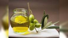 Liguria, agroalimentare, olive taggiasche ottengono IGP, Piana: "Obiettivo atteso da 25 anni"