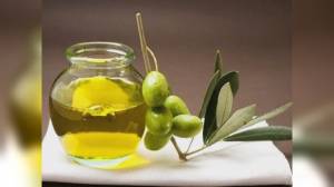 Liguria, agroalimentare, olive taggiasche ottengono IGP, Piana: "Obiettivo atteso da 25 anni"