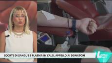 Sangue e plasma, scorte in calo in Liguria: l'appello a Telenord