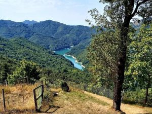 Dopo la vendemmia del Rossese, stasera Benvenuti in Liguria nei paesi più piccoli della regione