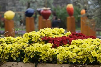 Fiori e piante dall’estero, Coldiretti Liguria lancia l’allarme: “Minaccia al florovivaismo locale, serve tutela immediata”