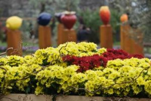 Fiori e piante dall’estero, Coldiretti Liguria lancia l’allarme: “Minaccia al florovivaismo locale, serve tutela immediata”