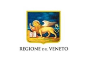 Mobilità su strada in Veneto: auto resta regina, ma cresce la bici e l’uso del trasporto pubblico