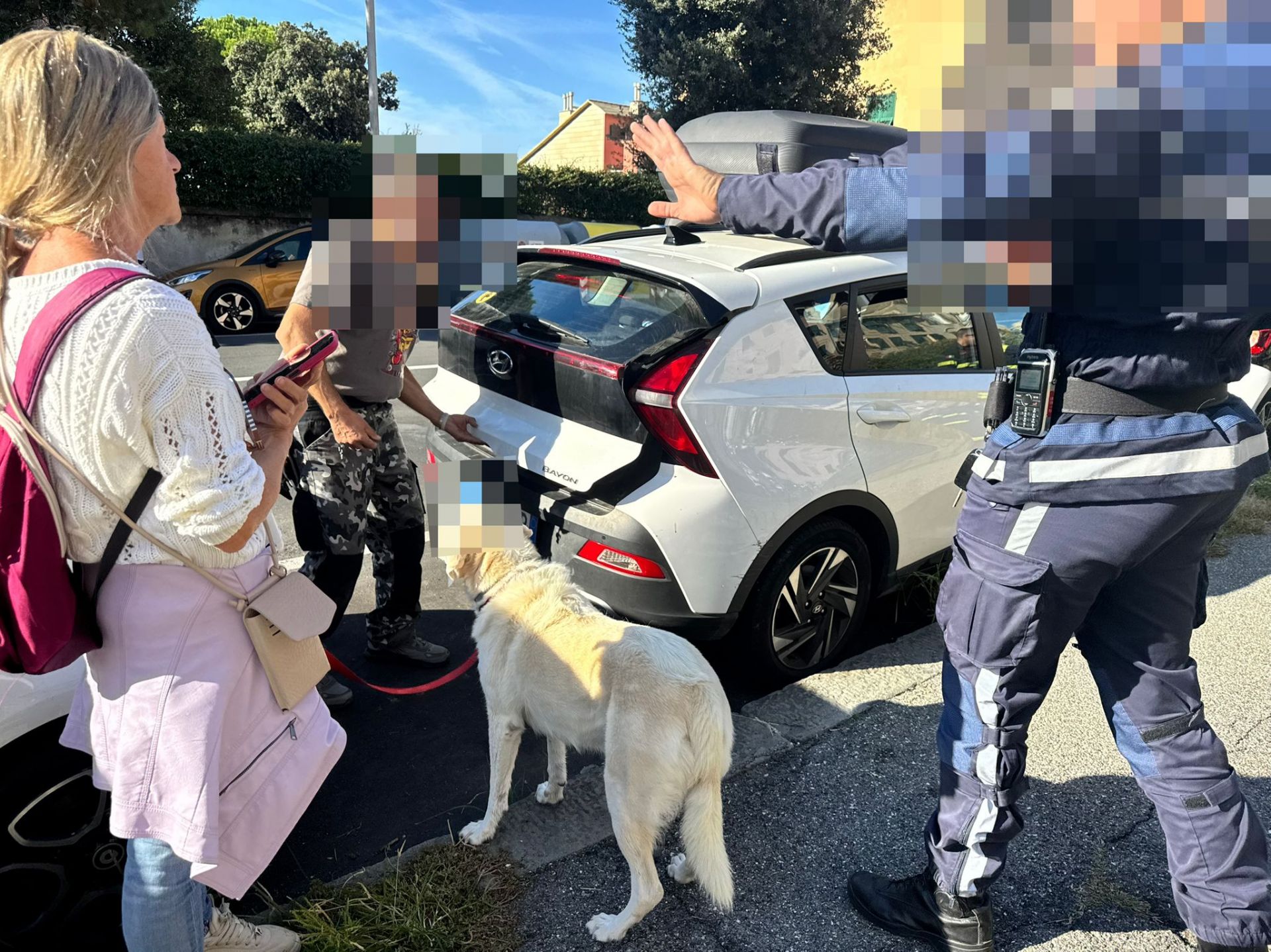 Genova, due cani lasciati chiusi nel bagagliaio sotto il sole a Quinto: salvati grazie a una passante