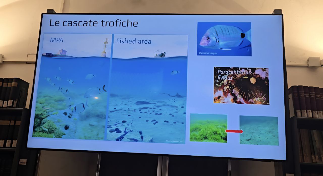 “La Liguria e il Mare”: piccola pesca e sostenibilità tra passato, presente e futuro