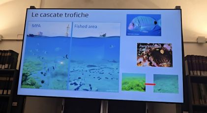 “La Liguria e il Mare”: piccola pesca e sostenibilità tra passato, presente e futuro