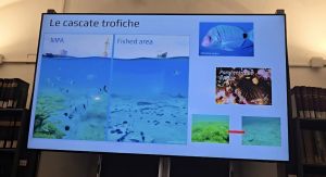 “La Liguria e il Mare”: piccola pesca e sostenibilità tra passato, presente e futuro