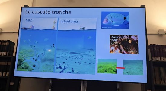 “La Liguria e il Mare”: piccola pesca e sostenibilità tra passato, presente e futuro