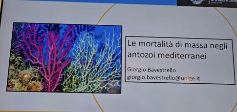 “La Liguria e il mare”: cambiamenti climatici e impatti antropici minacciano la biodiversità