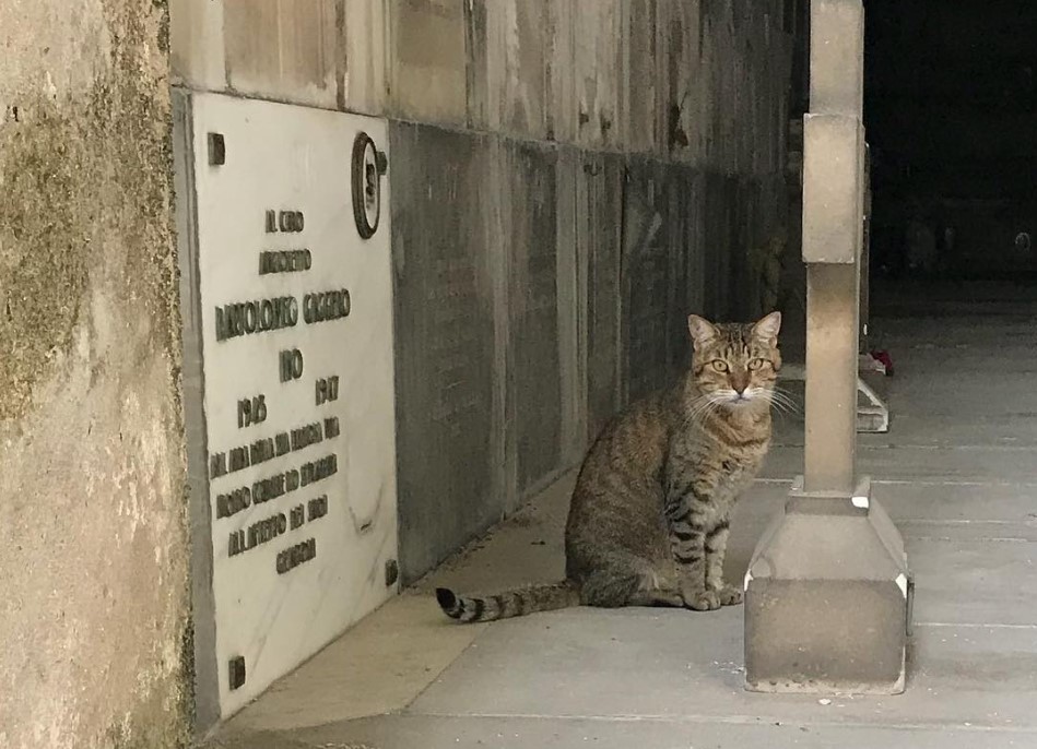 Staglieno accessibile: al via le visite guidate inclusive per persone con disabilità