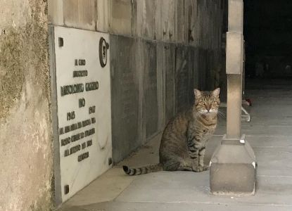 Staglieno accessibile: al via le visite guidate inclusive per persone con disabilità