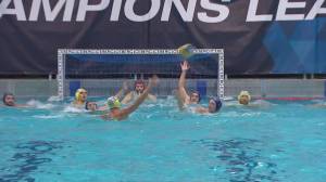 Pro Recco ritrova la Champions contro Novi Beograd, Jadran Spalato e Jadran Herceg Novi