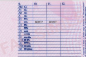 Ue: ok da Commissione Trasporti a norme sulla patente di guida e sulla sospensione