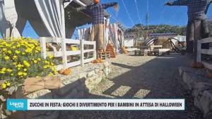 Zucche in festa e zucche in piazza: giochi e divertimenti per i bambini in attesa di Halloween