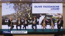 Primo Forum 'Lavoro e futuro', panel 'Olive taggiasche, l'IGP diventa realtà': punto di svolta per una filiera produttiva strategica per la Liguria
