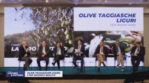 Primo Forum 'Lavoro e futuro', panel 'Olive taggiasche, l'IGP diventa realtà': punto di svolta per una filiera produttiva strategica per la Liguria